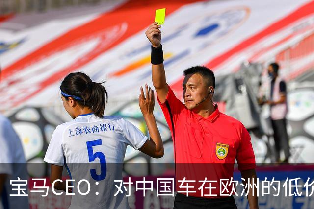 宝马CEO：对中国车在欧洲的低价策略深感困惑