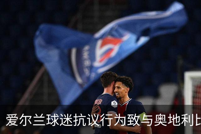爱尔兰球迷抗议行为致与奥地利比赛暂时中断