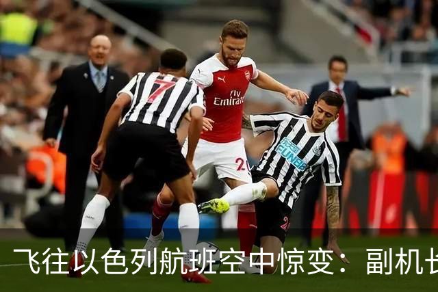 飞往以色列航班空中惊变：副机长妄图劫机，机长重伤待救